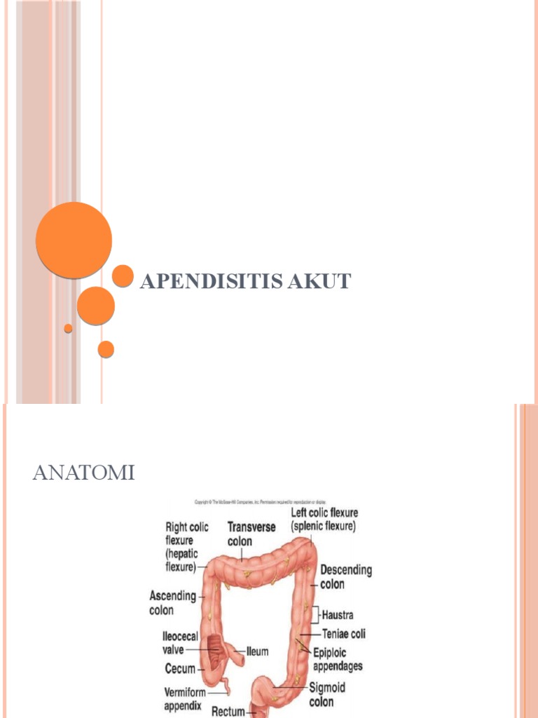 Appendicitis Akut | PDF