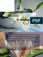 angiosperme si floarea