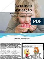 Músculos Da Mastigação 4