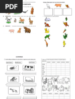 Animales Segun Su Alimentacion