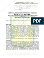 Dialnet-CirugiaReconstructivaDeOrganoReproductorCanino-3953100