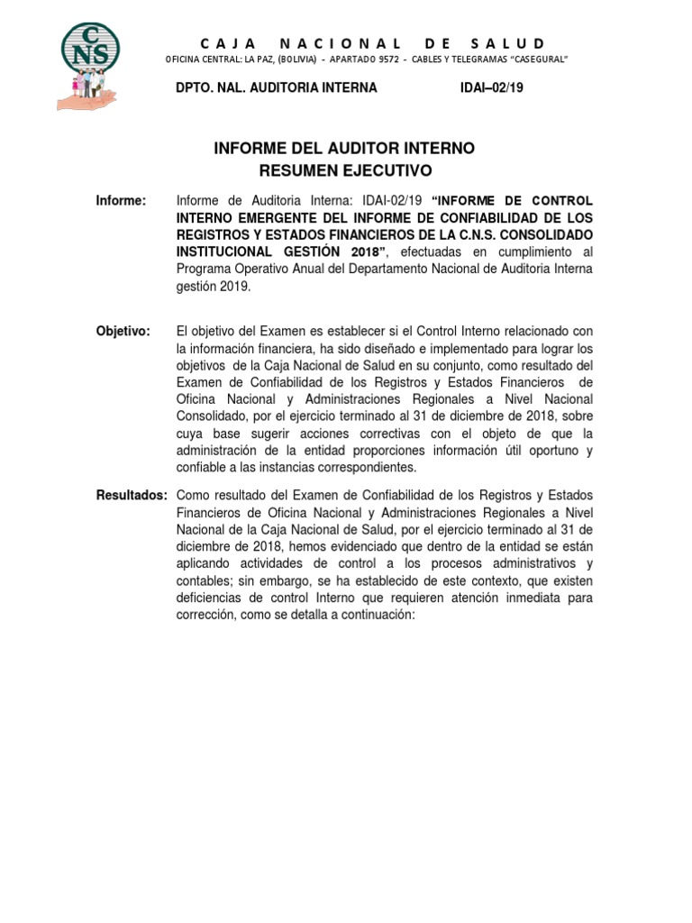 Resumen Ejecutivo Informe Del Auditor Interno | PDF