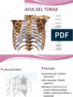 Topografia Del Torax