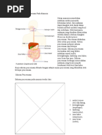 Download fungsi-sistem-pencernaan-pada-manusia by Nira Nurmayanti SN53045183 doc pdf