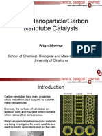 Metal NanoparticleCarbon Nanotube Catalysts