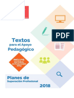 2019 PSP Material Apoyo Pedagógico
