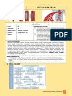 Sistem Sirkulasi Manusia