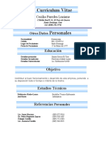 CV Enfermera Experta Santo Domingo