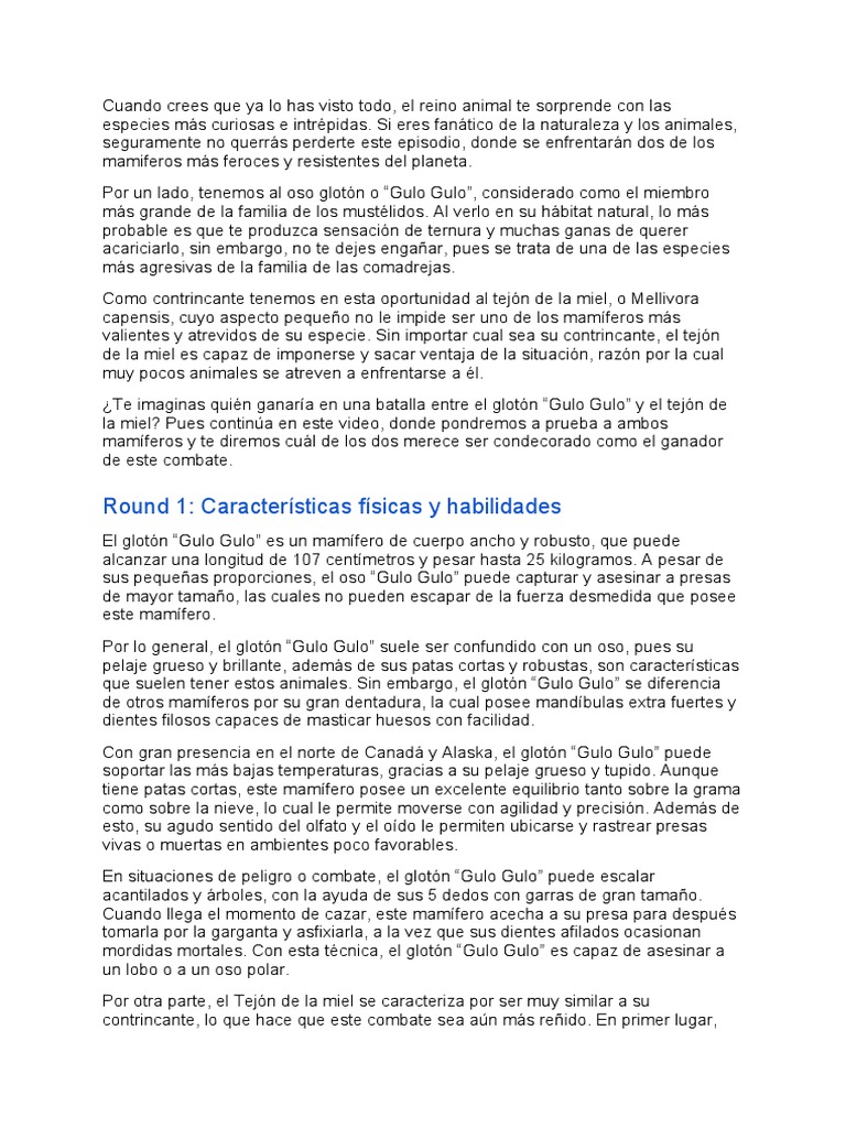 Gloton Gulo Gulo Vs Tejon de La Miel PDF Mamíferos Zoología