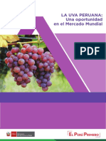 Informe-Uva-peruana (1)