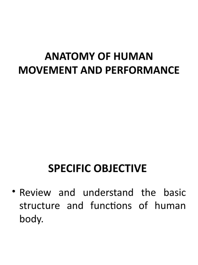 Anatomy and Physiology of Movement | PDF | Anatomical Terms Of Motion ...