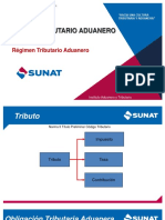 3.2.4 Regimen Tributario Aduanero