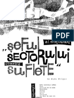 Alexandru Mirodan - Seful Sectorului Suflete (V. 1.0)