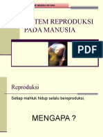 Sistem Reproduksi Pada Manusia