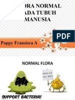 FLORA NORMAL PADA TUBUH MANUSIA