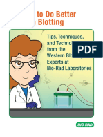 Bulletin 7286 Better Western Blotting Guidebook Rev A - APAC in LSG PQD Infuse Color in Your Blots EDM Mar2020