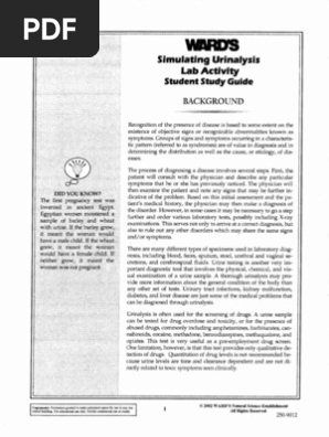Urinalysis Lab Student Pdf Urine Medicine