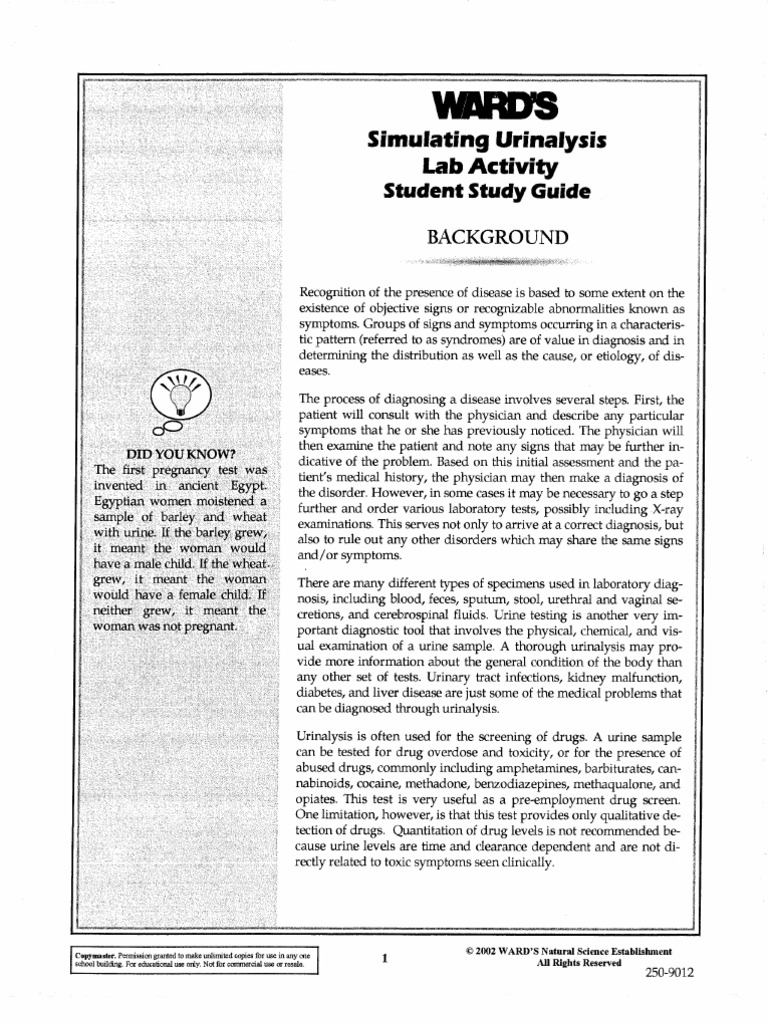 Urinalysis Lab Student Copy Urine Medicine