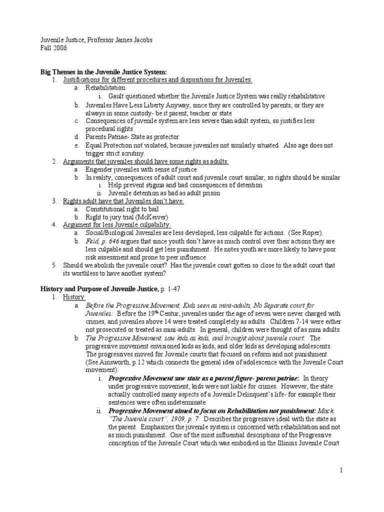 Law School Outline Juvenile Justice NYU School of Law Jacobs 1