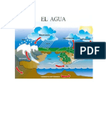 fases del  agua