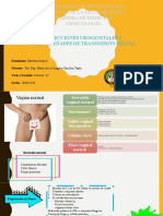 Infecciones urogenitales