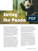 Saving the Panda: Captive Breeding Efforts