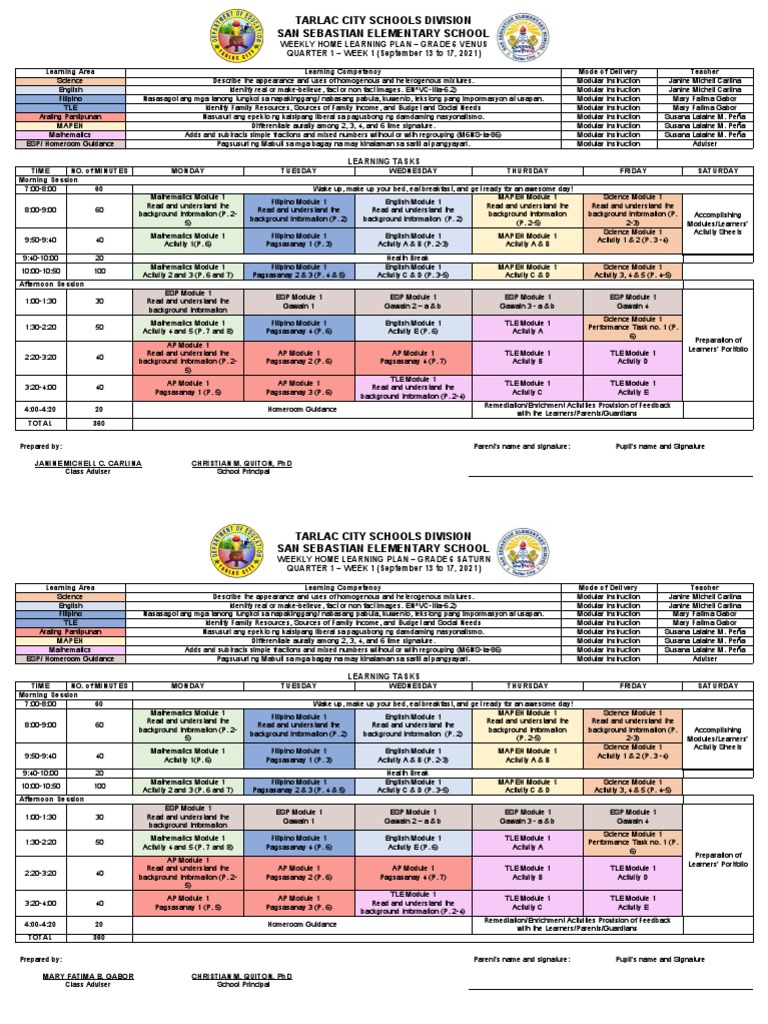 Grade 6 Weekly Learning Plan | PDF | Teaching | Behavior Modification
