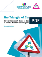 Triangle of Care Intro PDF