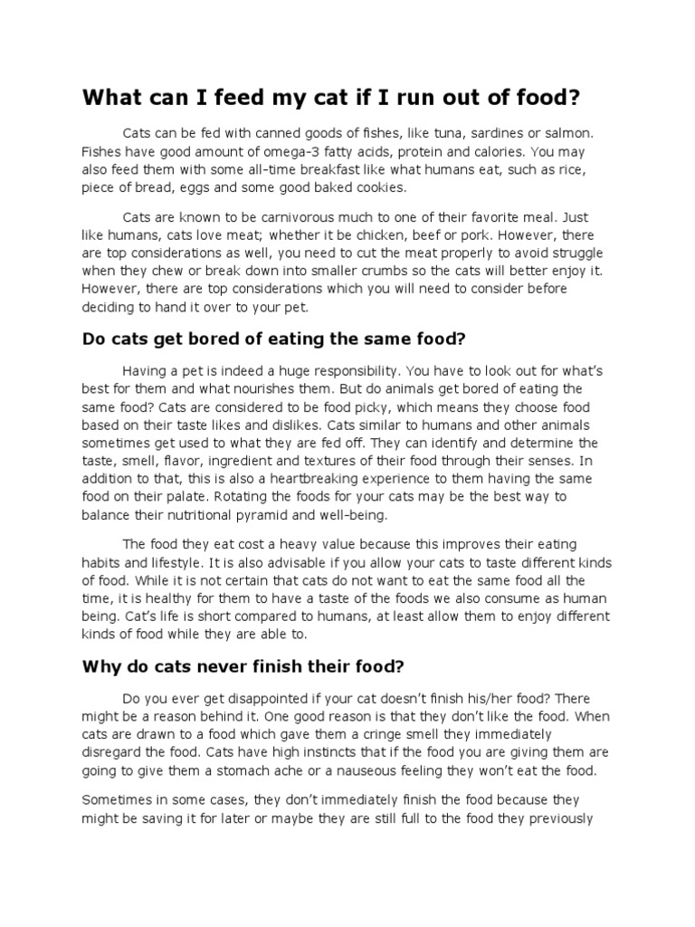 What Can I Feed My Cat If I Run Out of Food PDF Foods Cats