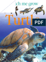DK Turtle