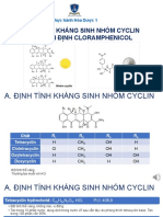 Cyclin Va Cloramphenicol Gui SV