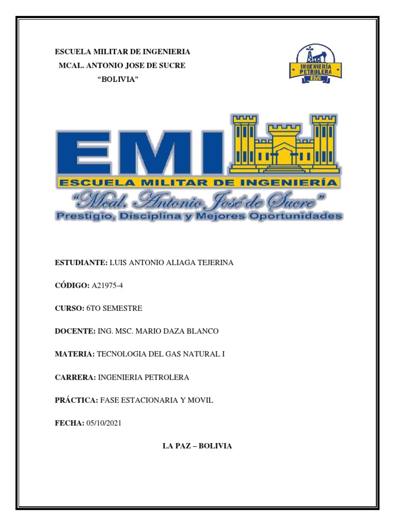 Fase Estacionaria y Movil PDF Cromatografía Fase (materia)