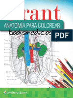 Grant Anatomia para Colorear