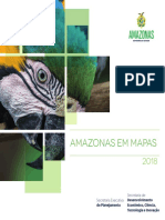 Amazonas em Mapas - 2020