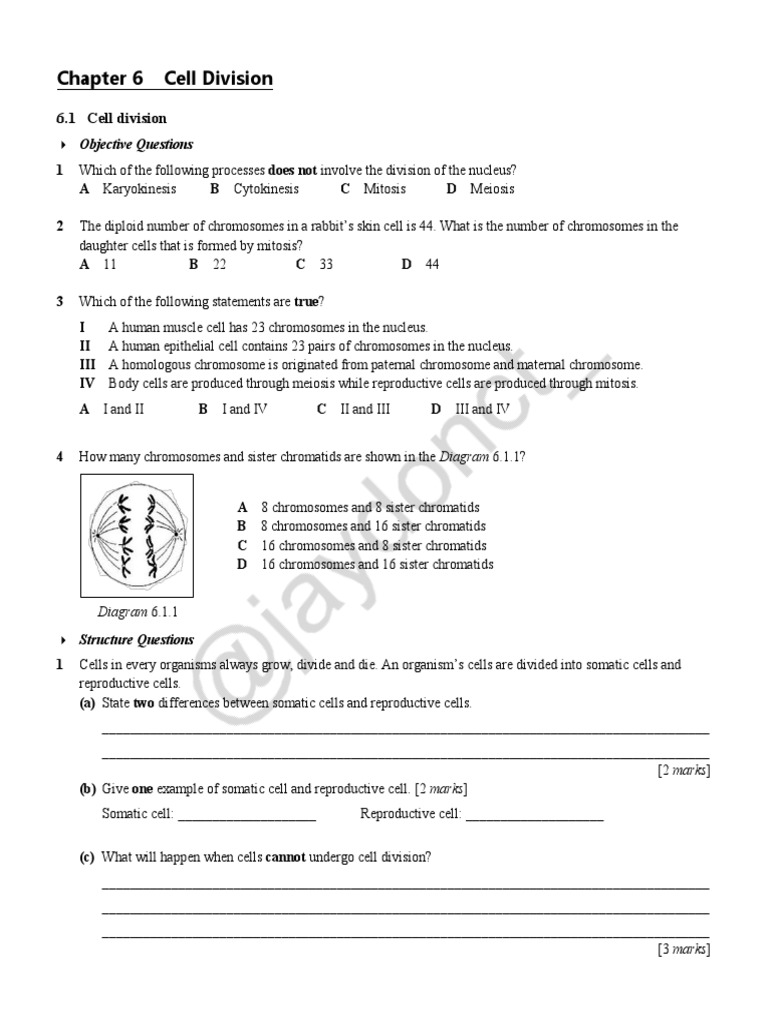 Cell Division: Objective and Structure Questions | PDF | Meiosis | Mitosis