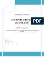 Maldivian Business Environment: Individual Assignment