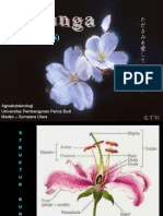 Botani - Morfologi Bunga