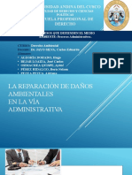 Ambiental Procesos Administrativos-1