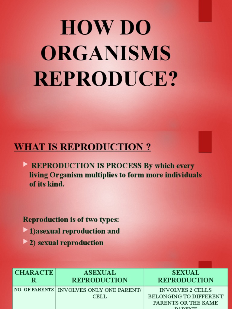 How Do Organisms Reproduce PDF Reproduction Biology