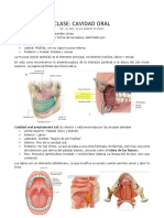 Clase Cavidad Oral