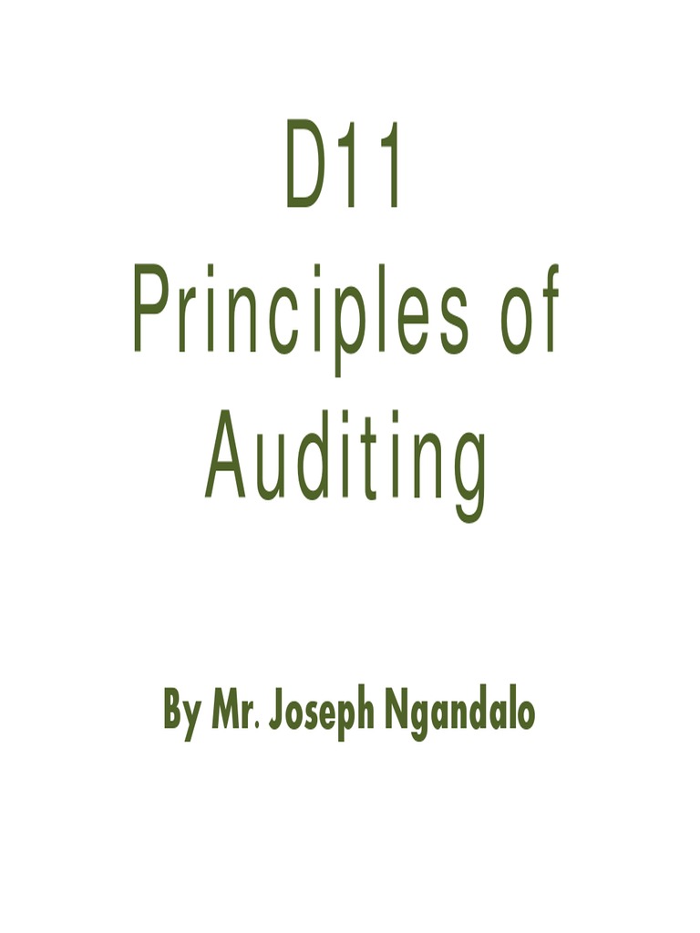 Basics of Auditing Principles | PDF | Audit | Internal Control