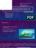Ciclos Biogeoquímicos