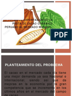 Plan de Exportación de La Pasta de Cacao