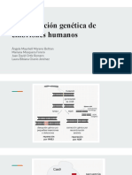 Manipulación Genética en Embriones Humanos