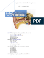 Câu hỏi trắc nghiệm và đáp án môn Giải phẫu - Chương giác quan