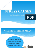 Stress Causes: Yeni Marcela Silva Sepúlveda
