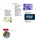 Transgénesis Microbiologia III Ciclo (Capcha Muñoz Anddoni Alexander)