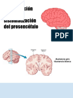 Presentación Sin Título