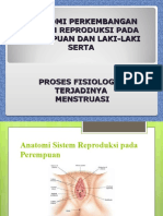 Anatomi Perkembangan Sistem Reproduksi Pada Perempuan Dan Laki-Laki