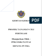 Kertas Kerja Cili